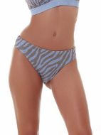 Εικόνα της Bluepoint Bikini Slip Σιελ 25065002-25