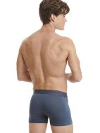 Εικόνα της Walk Ανδρικά Μποξεράκια Μπορντό 2Pack W1776_2703