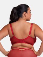 Εικόνα της Dorina Κόκκινο Σουτιέν Με Μπανέλες & Δαντέλα.